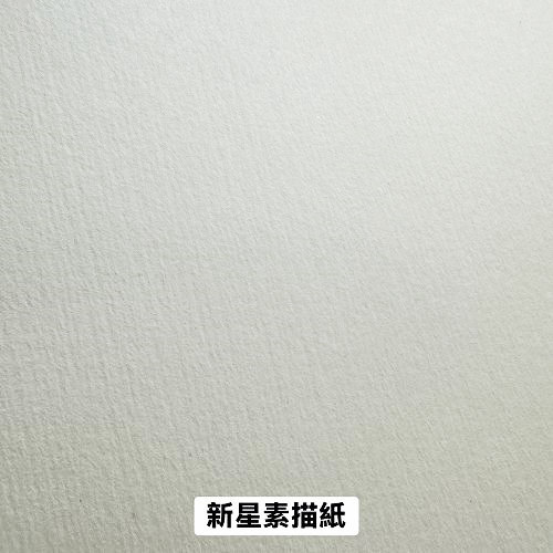 新星素描紙160g